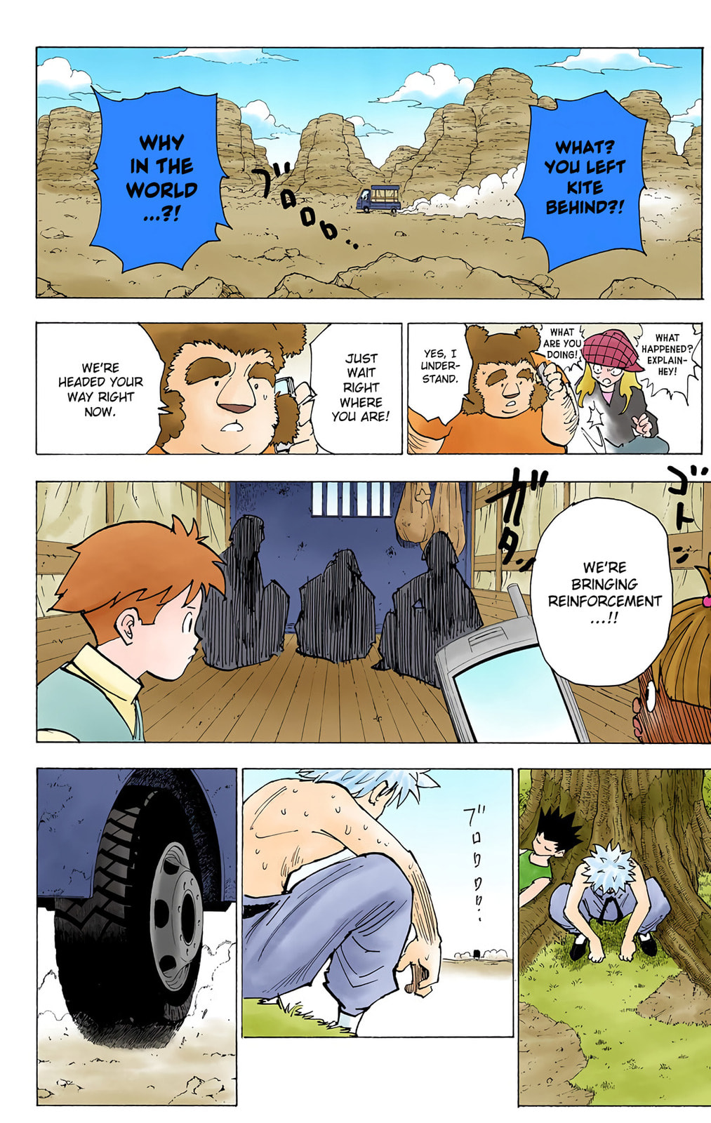 Hunter x Hunter Colored Manga