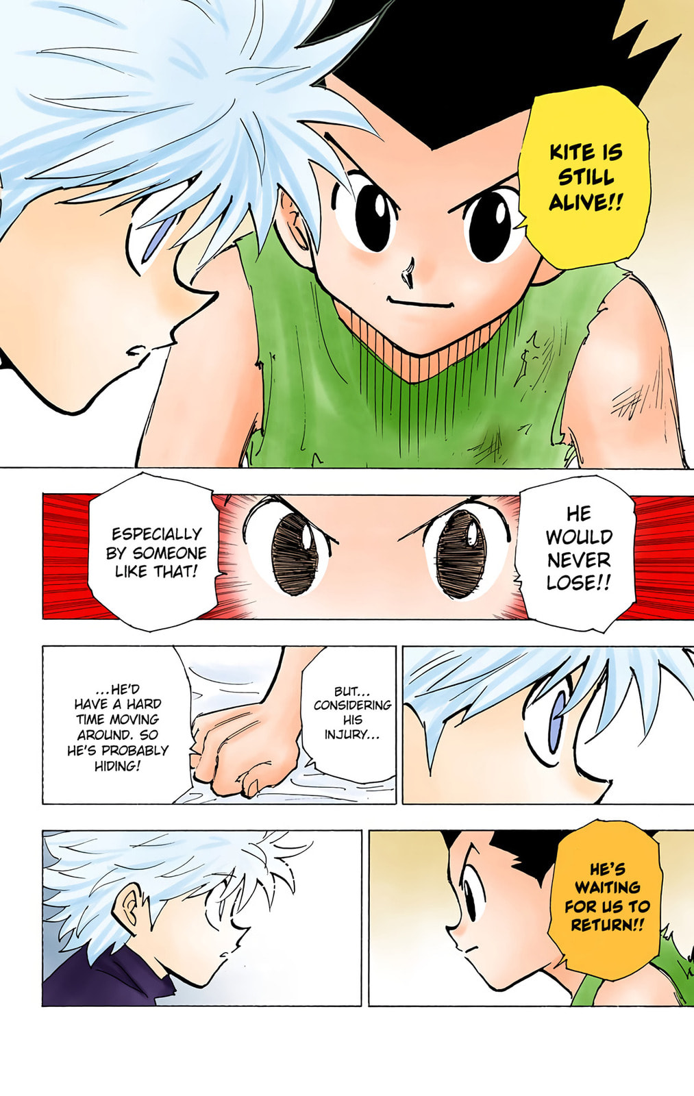 Hunter x Hunter Colored Manga