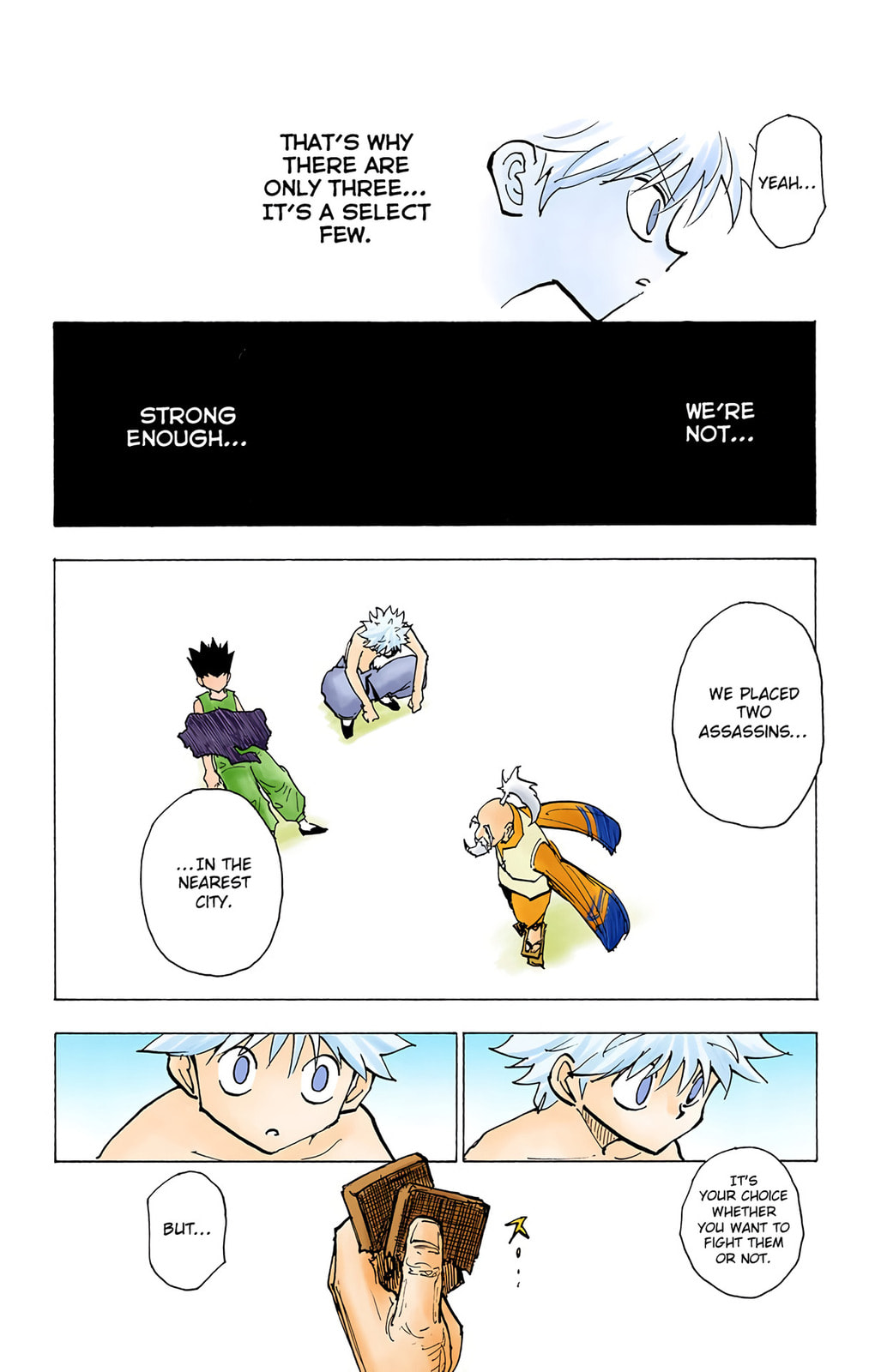 Hunter x Hunter Colored Manga