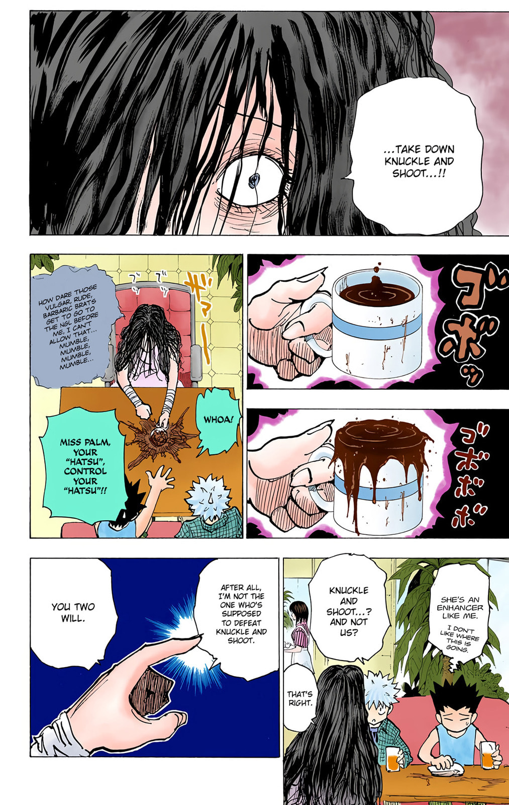 Hunter x Hunter Colored Manga