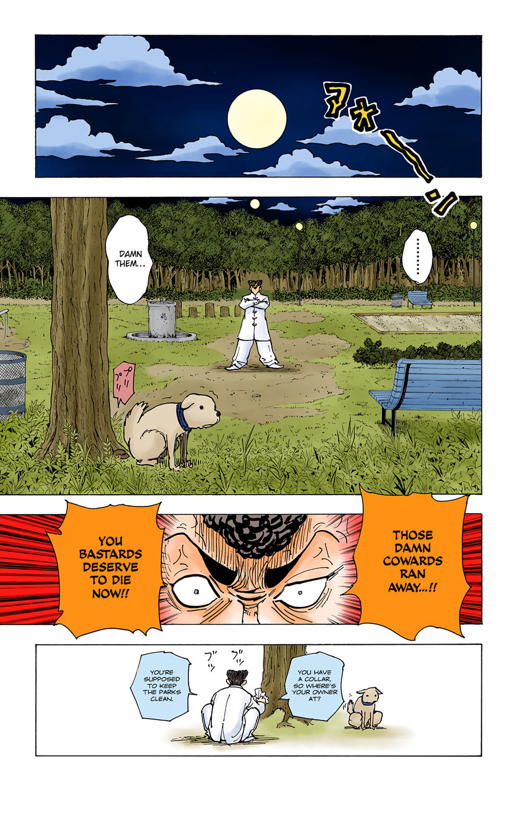 Hunter x Hunter Colored Manga