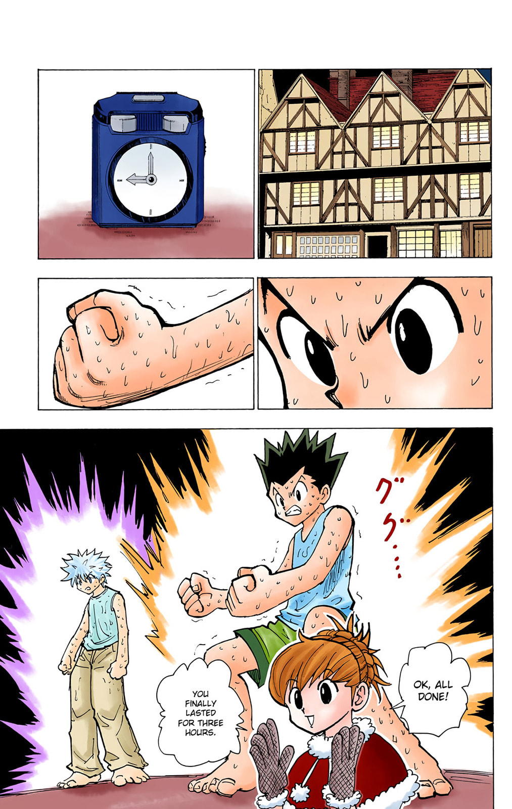 Hunter x Hunter Colored Manga