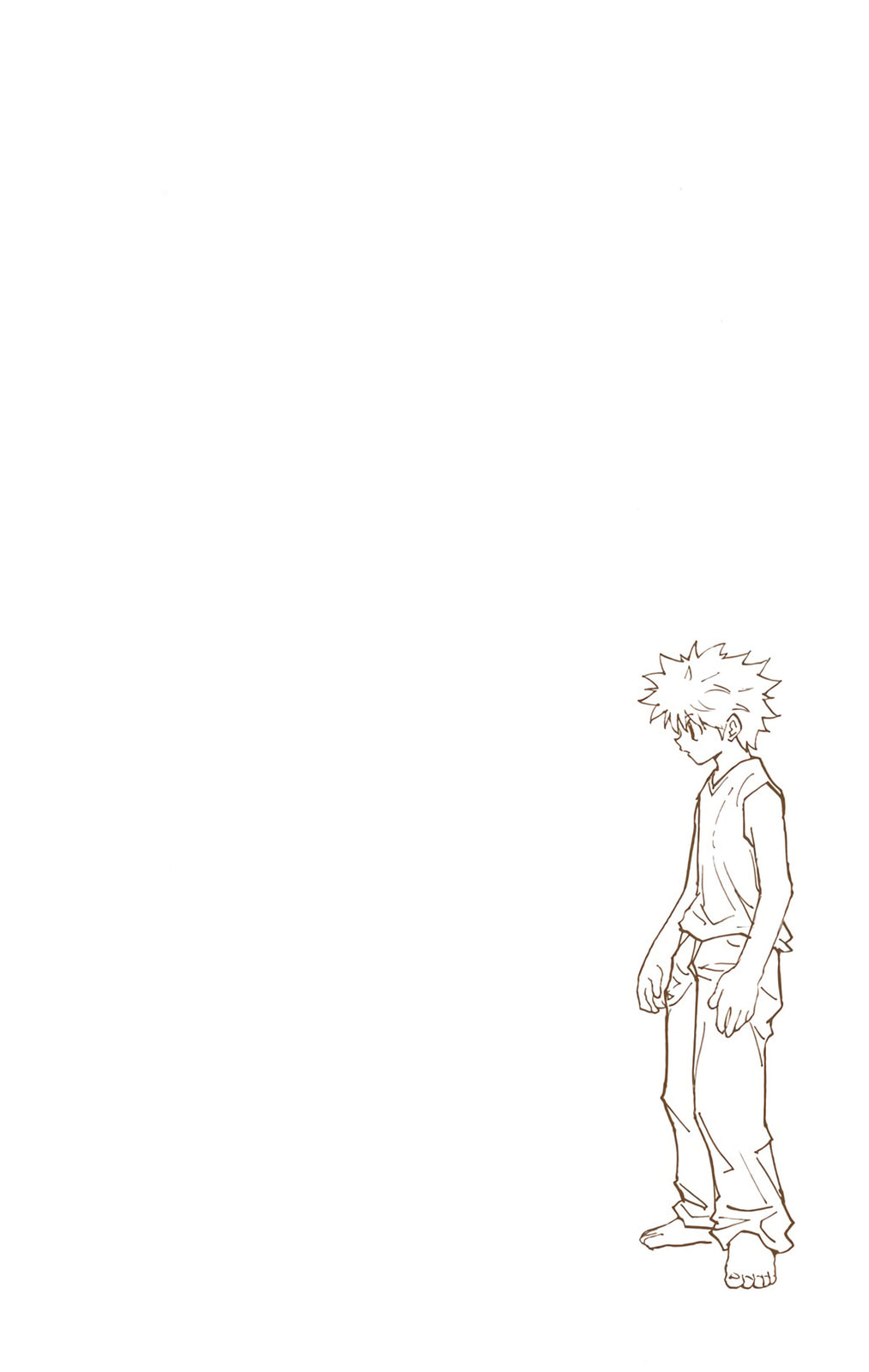 Hunter x Hunter Colored Manga