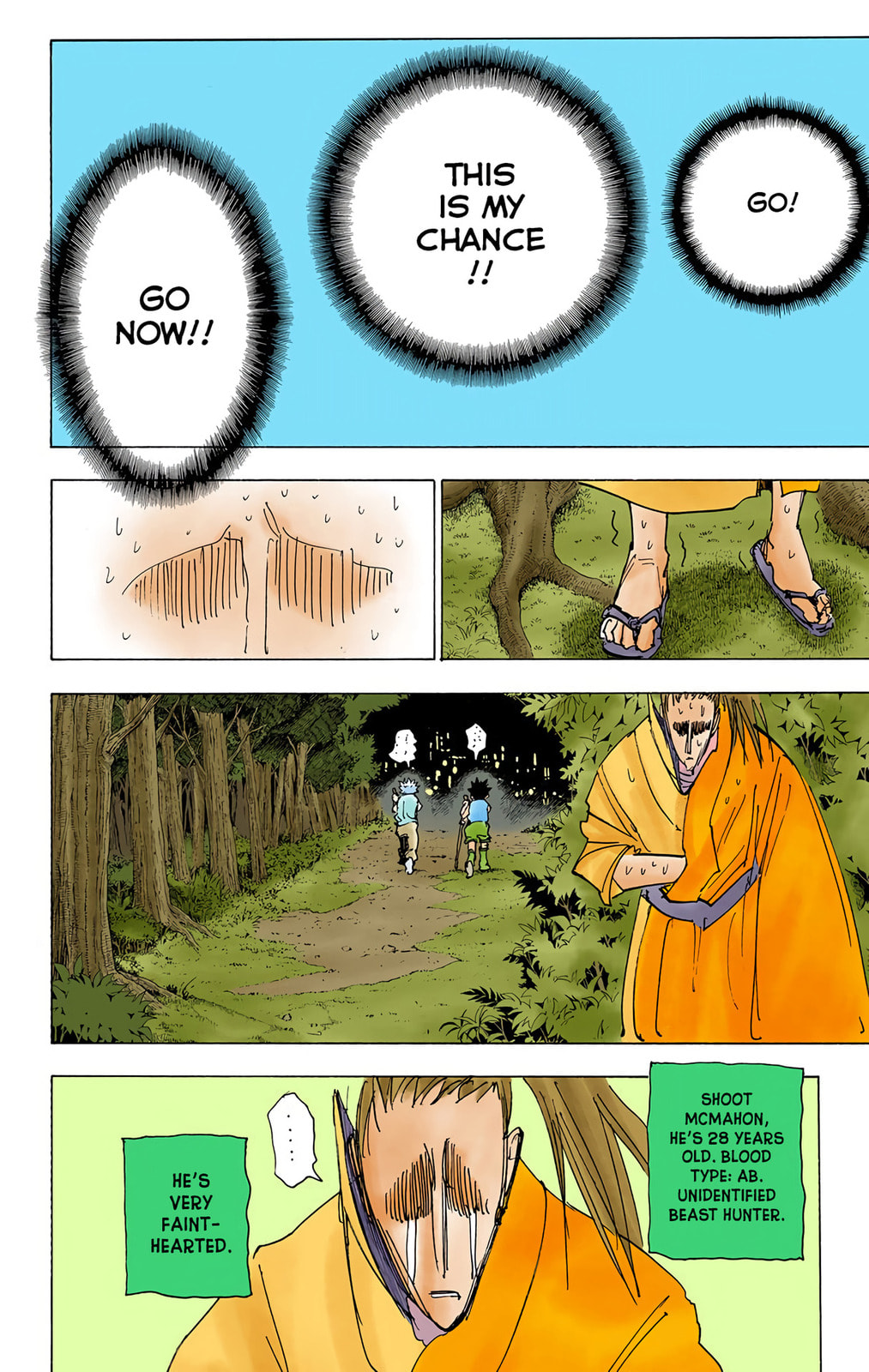 Hunter x Hunter Colored Manga