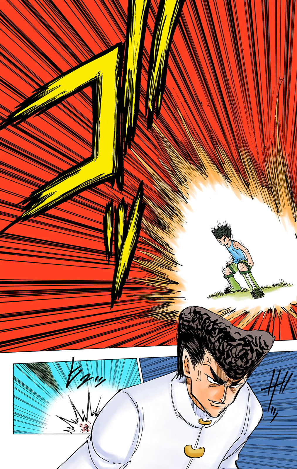 Hunter x Hunter Colored Manga