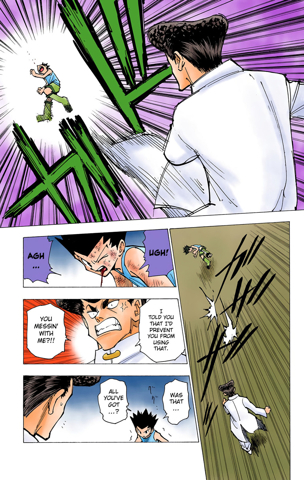 Hunter x Hunter Colored Manga