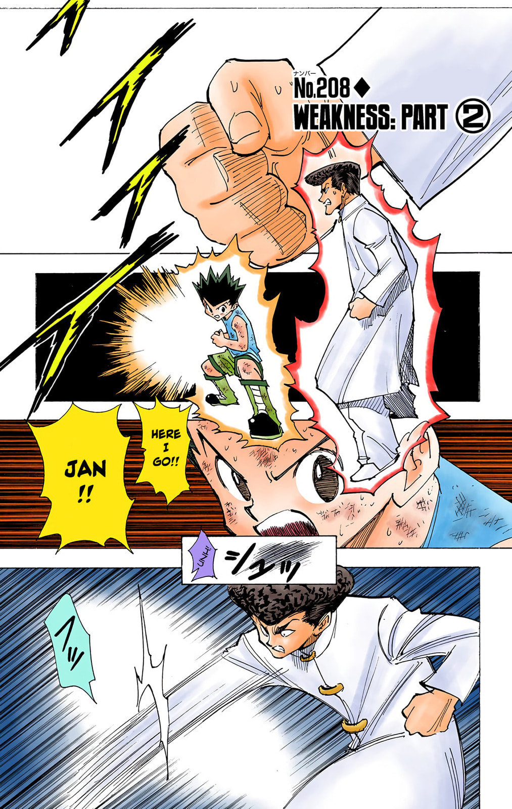 Hunter x Hunter Colored Manga