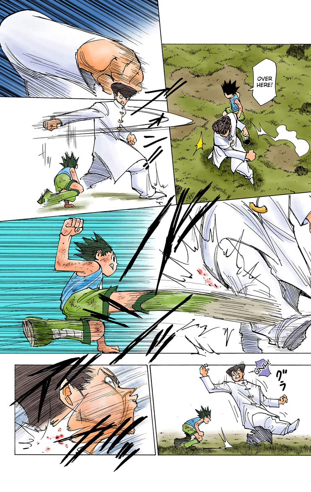 Hunter x Hunter Colored Manga