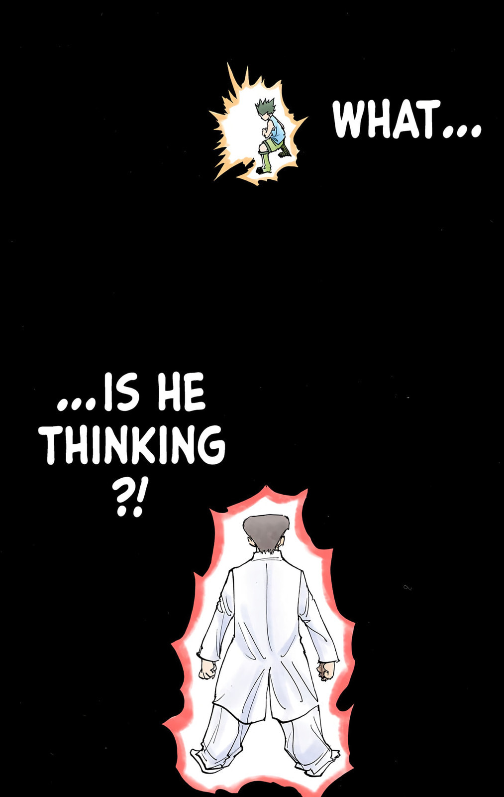 Hunter x Hunter Colored Manga