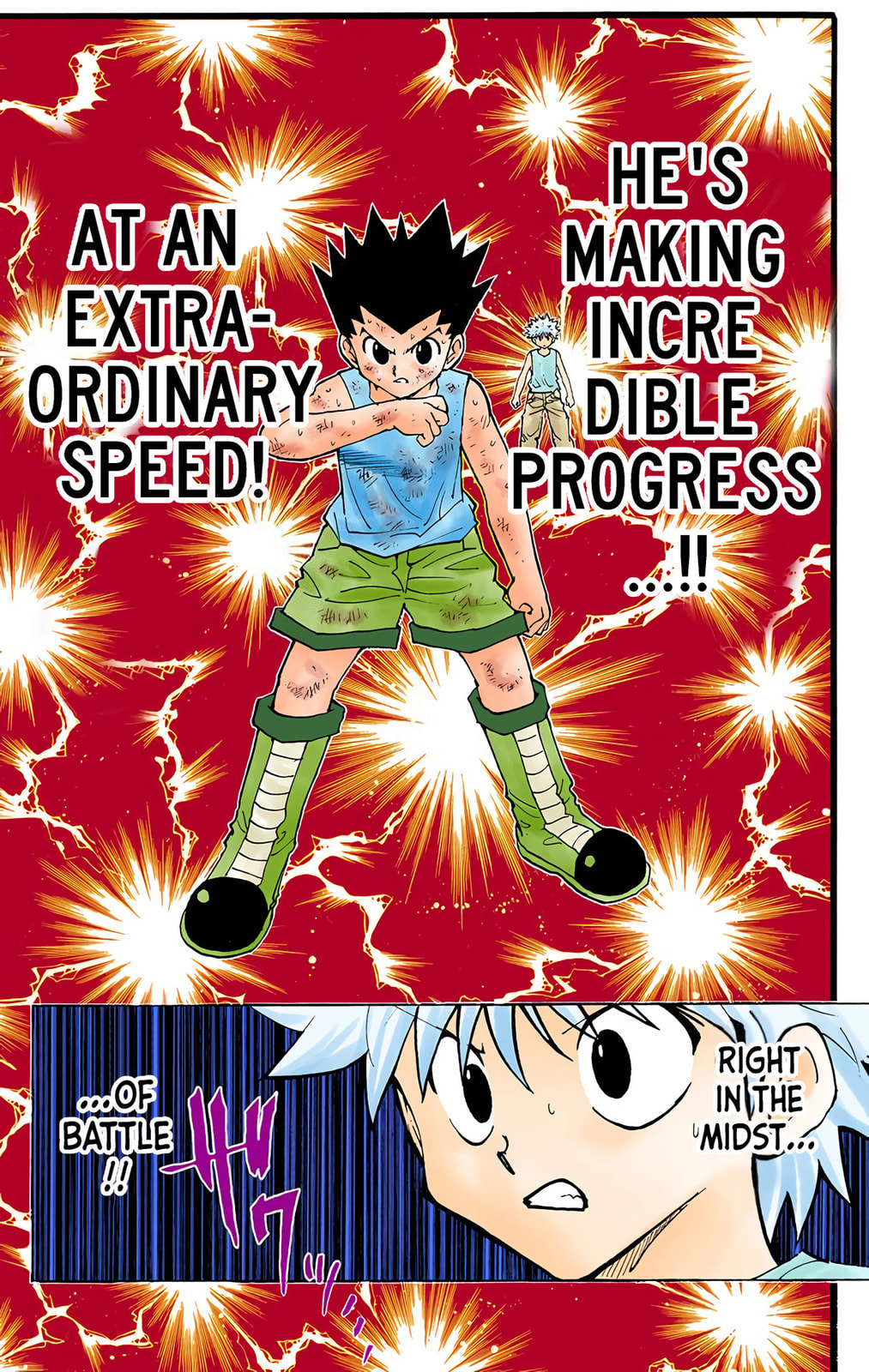 Hunter x Hunter Colored Manga