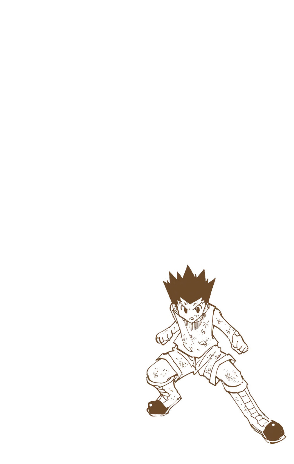 Hunter x Hunter Colored Manga