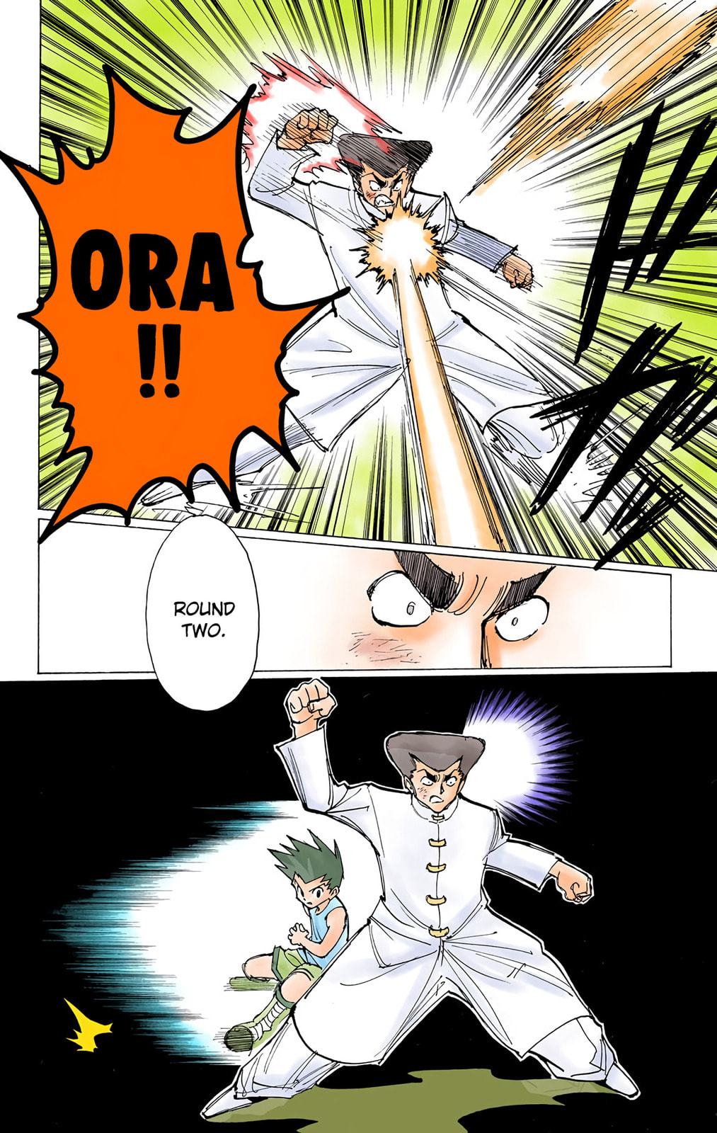 Hunter x Hunter Colored Manga