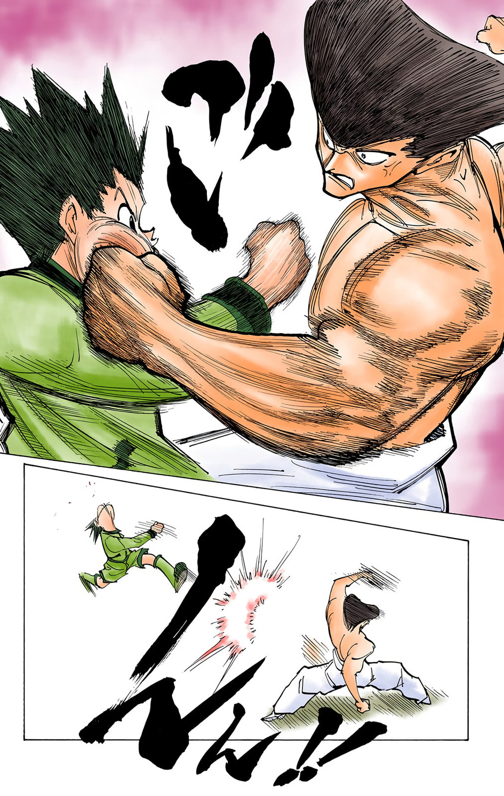 Hunter x Hunter Colored Manga