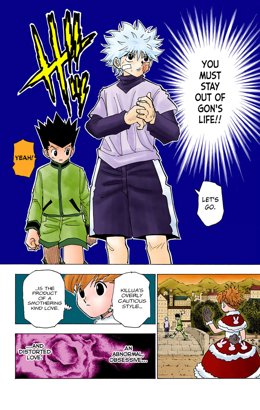Hunter x Hunter Colored Manga