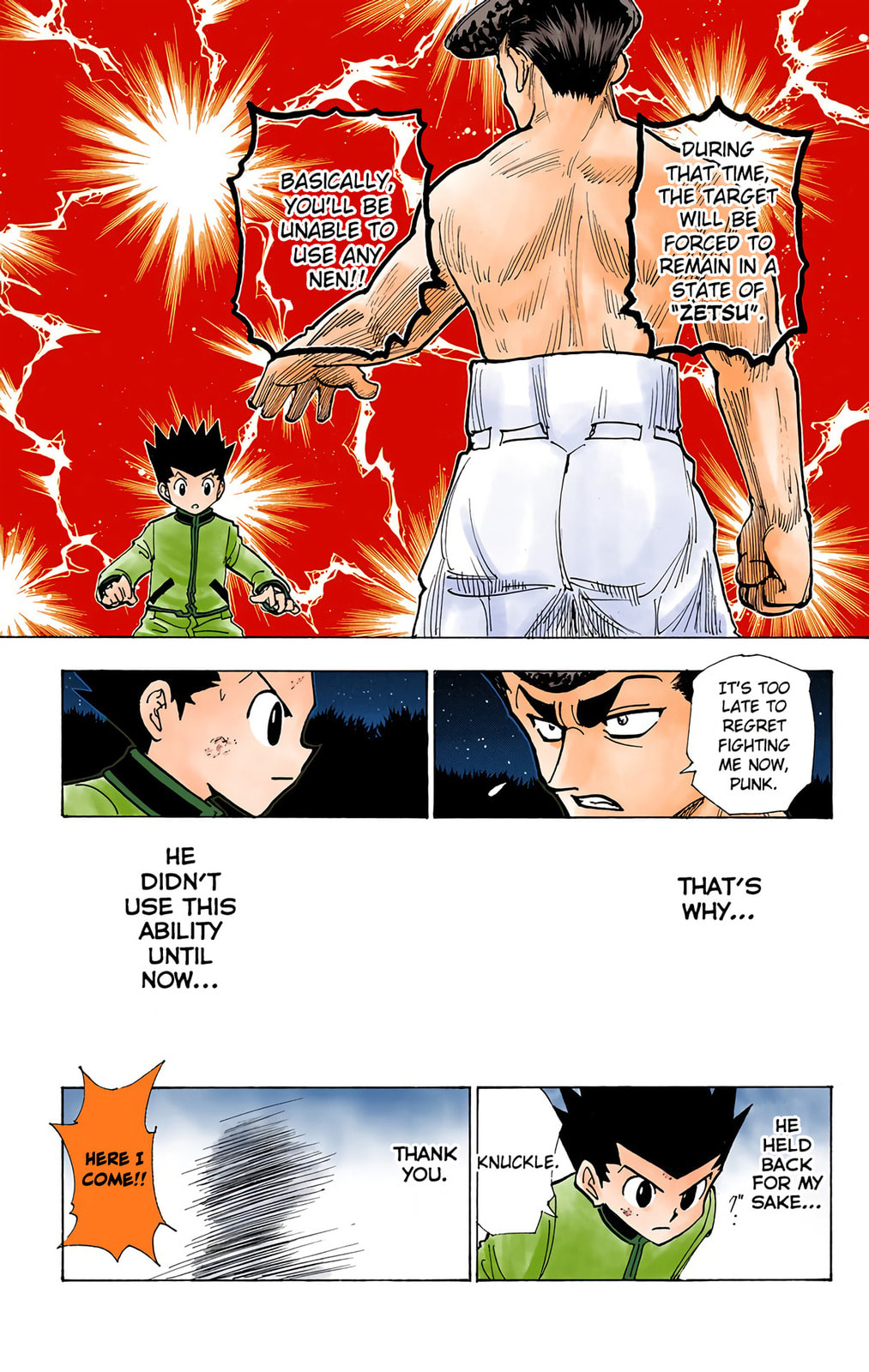Hunter x Hunter Colored Manga