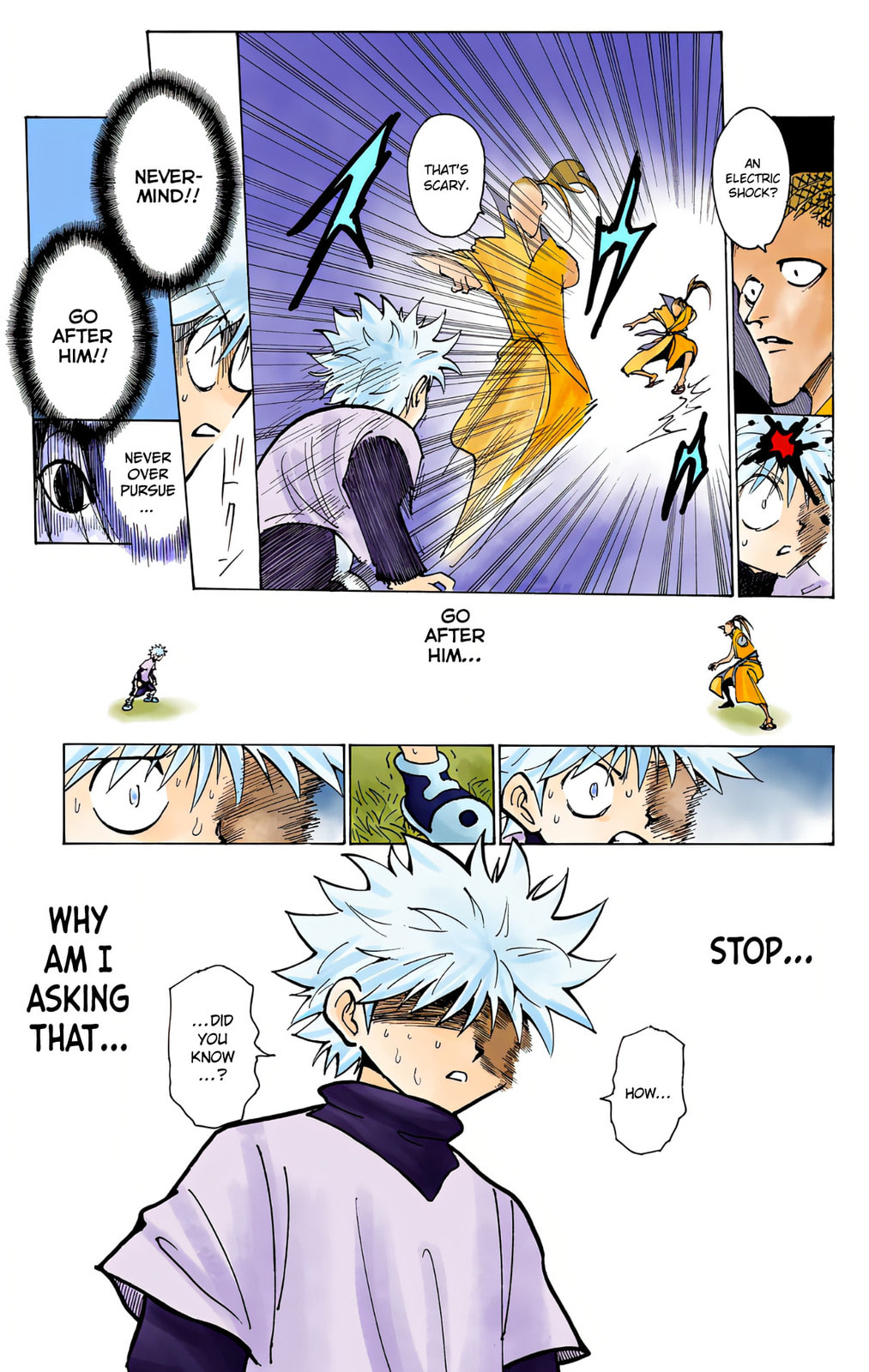 Hunter x Hunter Colored Manga