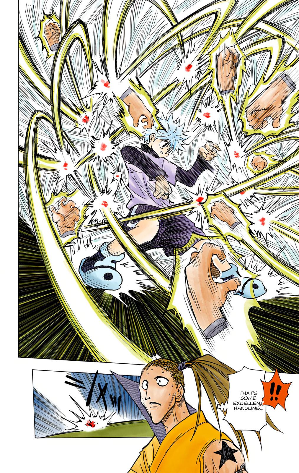 Hunter x Hunter Colored Manga