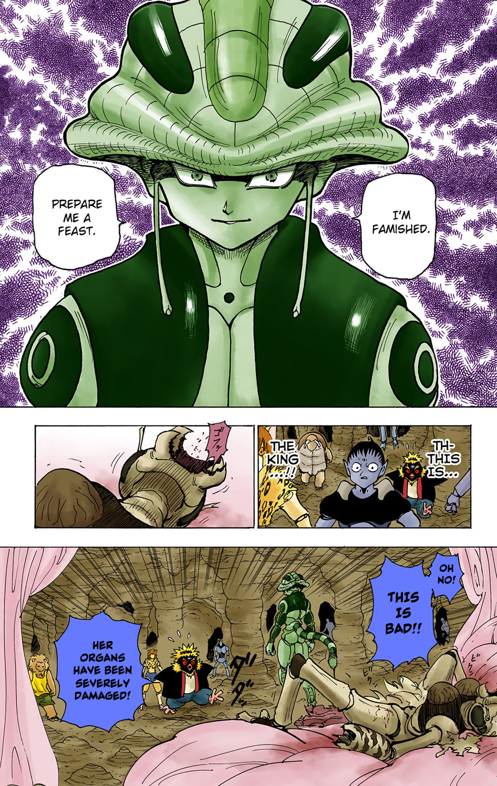Hunter x Hunter Colored Manga