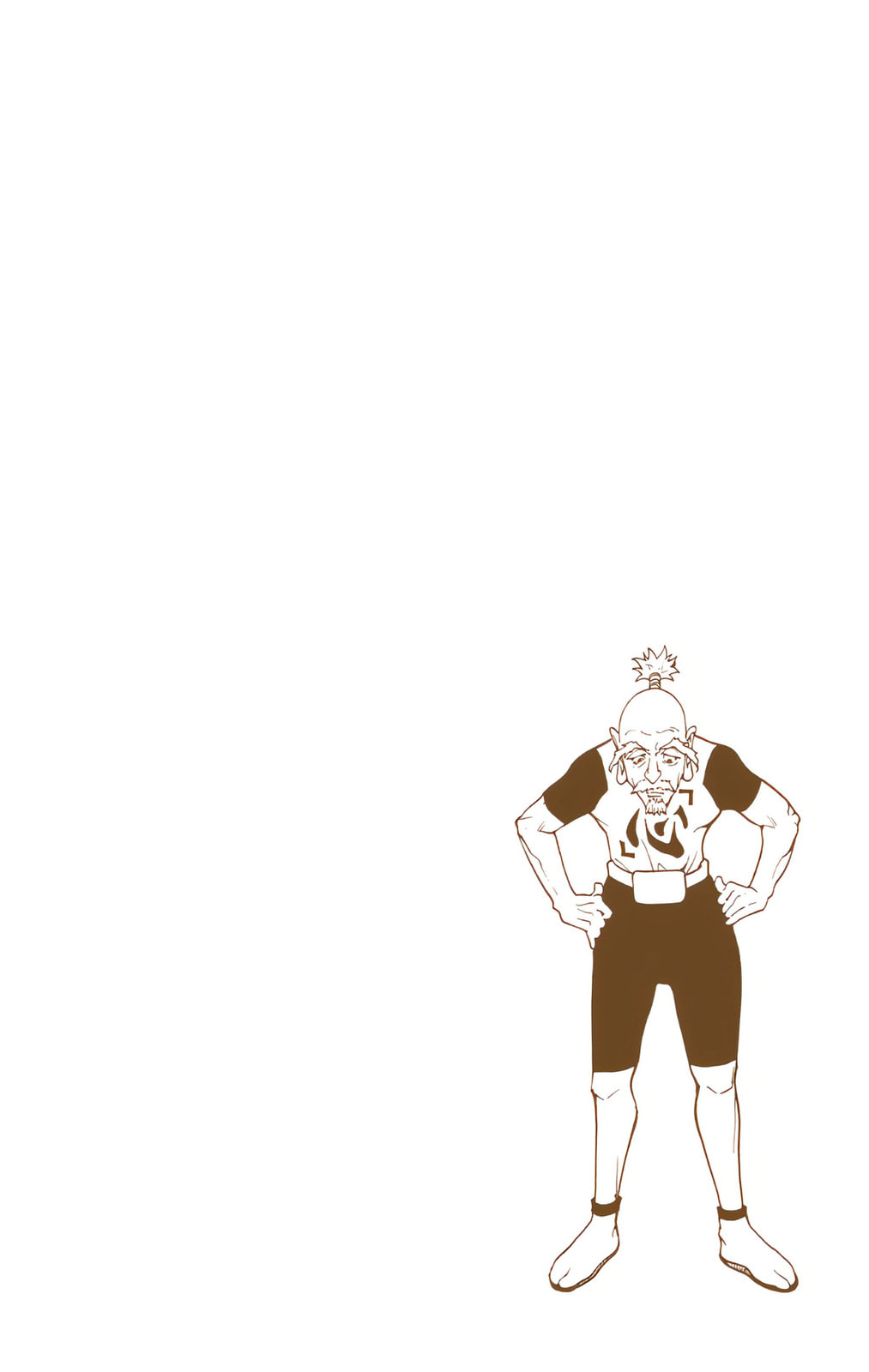 Hunter x Hunter Colored Manga