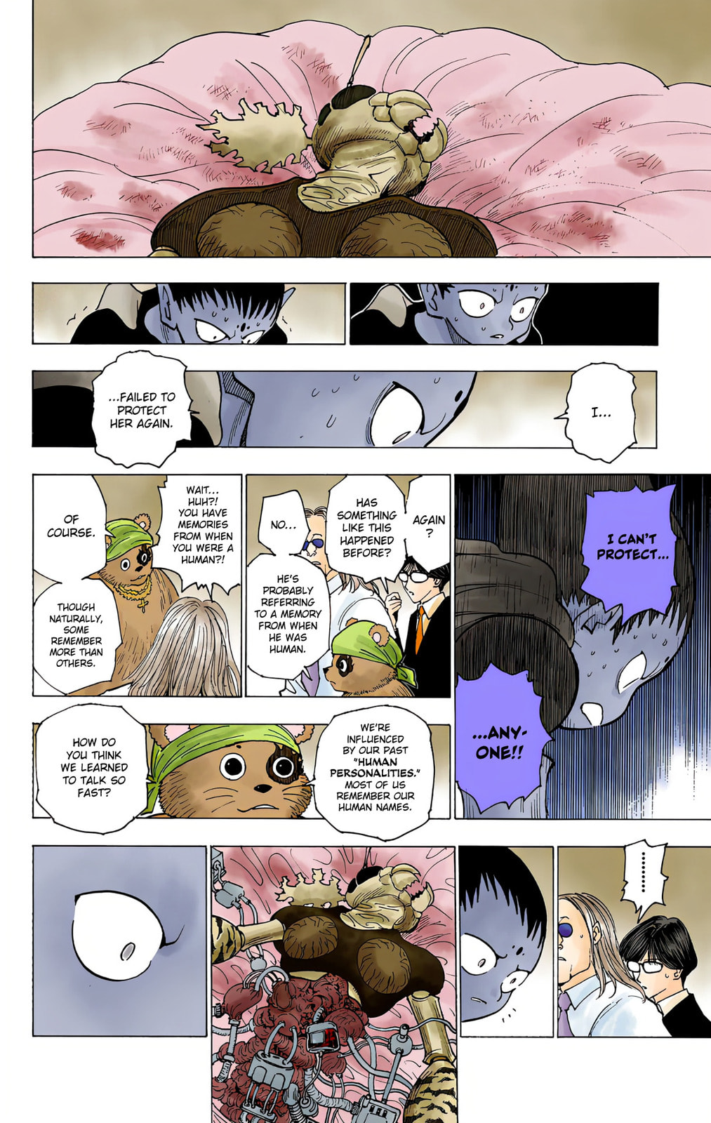 Hunter x Hunter Colored Manga
