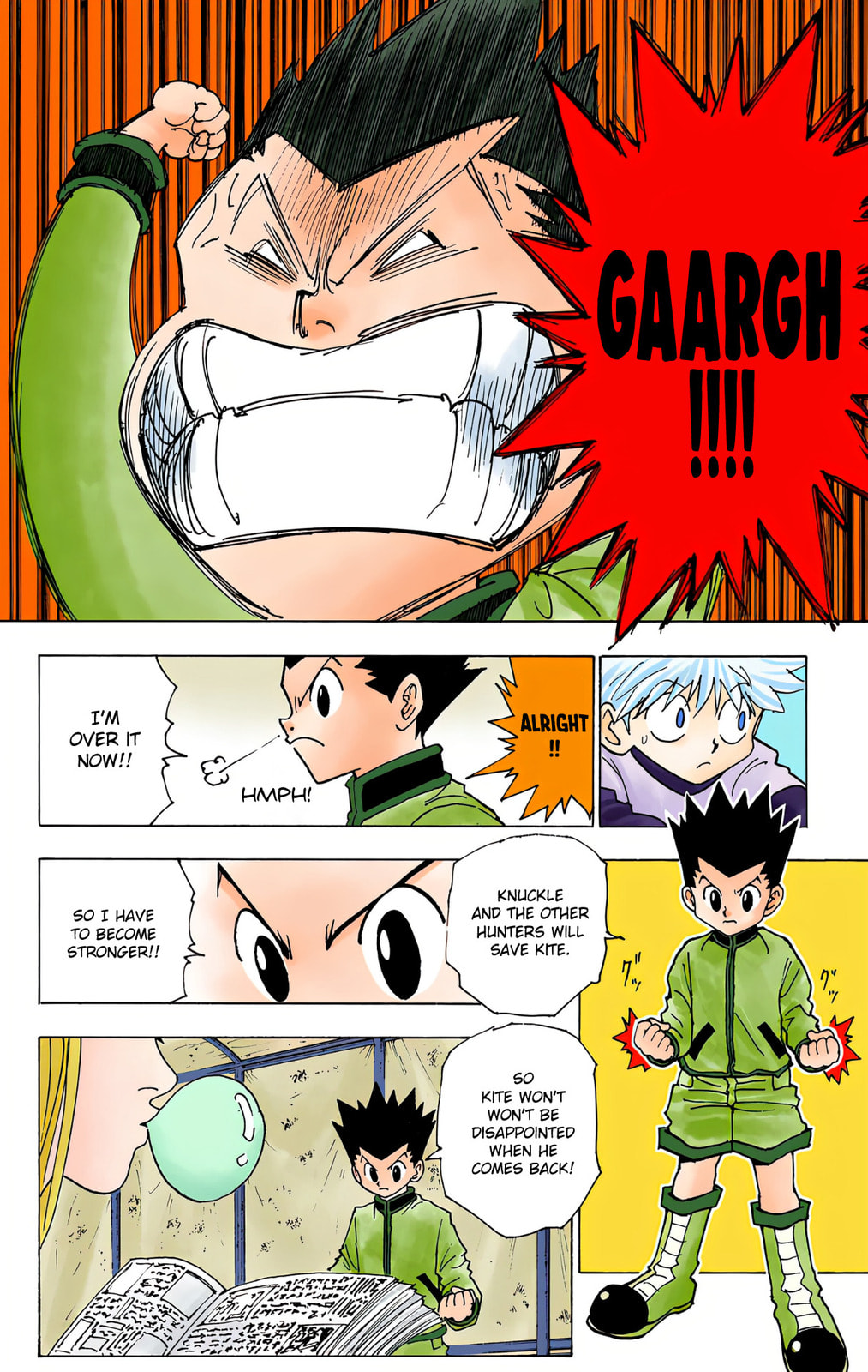 Hunter x Hunter Colored Manga