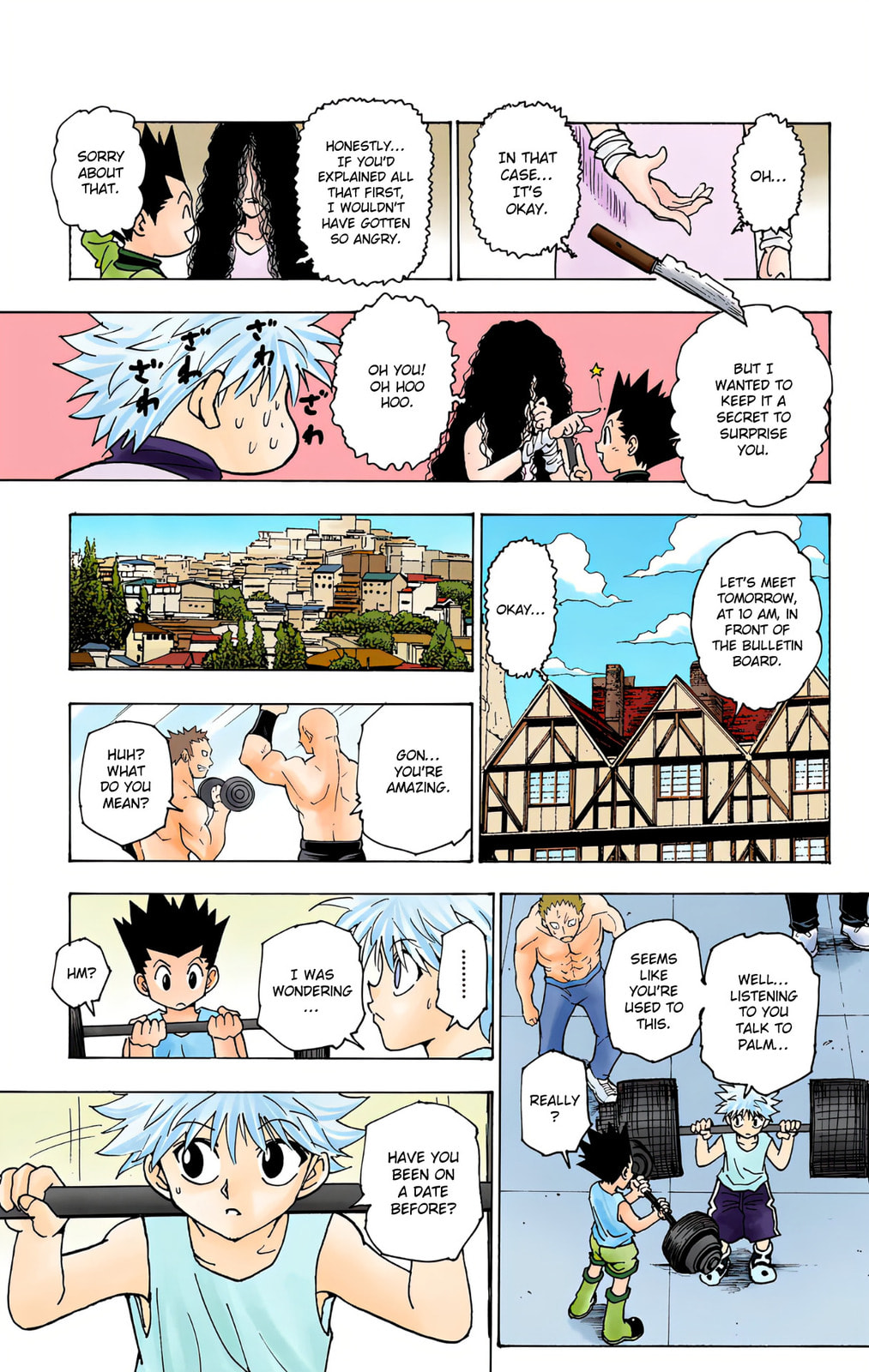 Hunter x Hunter Colored Manga
