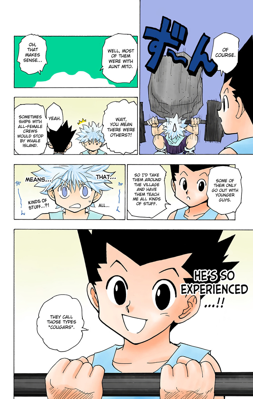 Hunter x Hunter Colored Manga