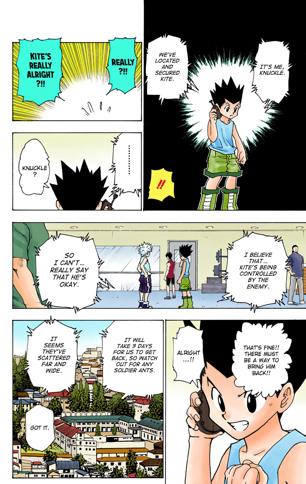 Hunter x Hunter Colored Manga