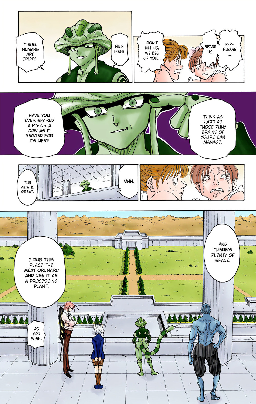 Hunter x Hunter Colored Manga