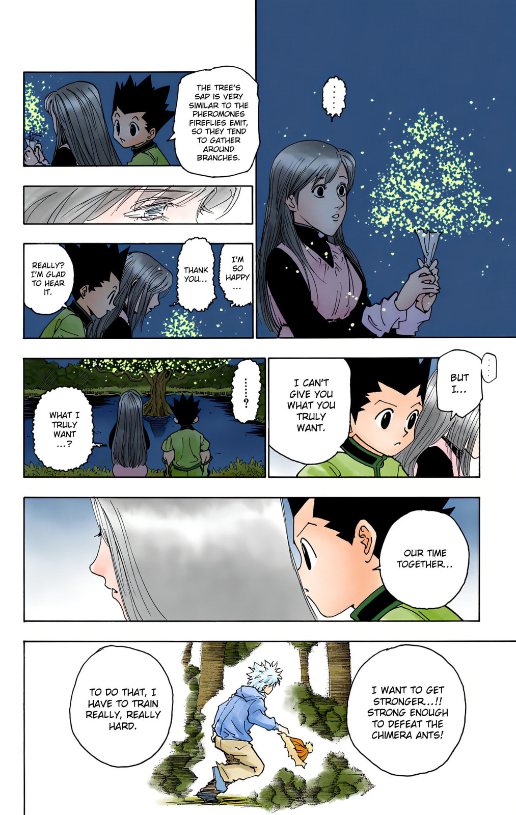 Hunter x Hunter Colored Manga