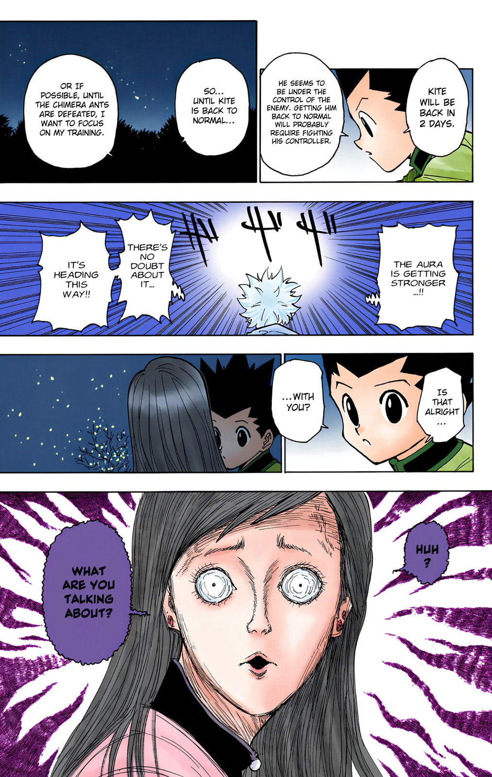 Hunter x Hunter Colored Manga
