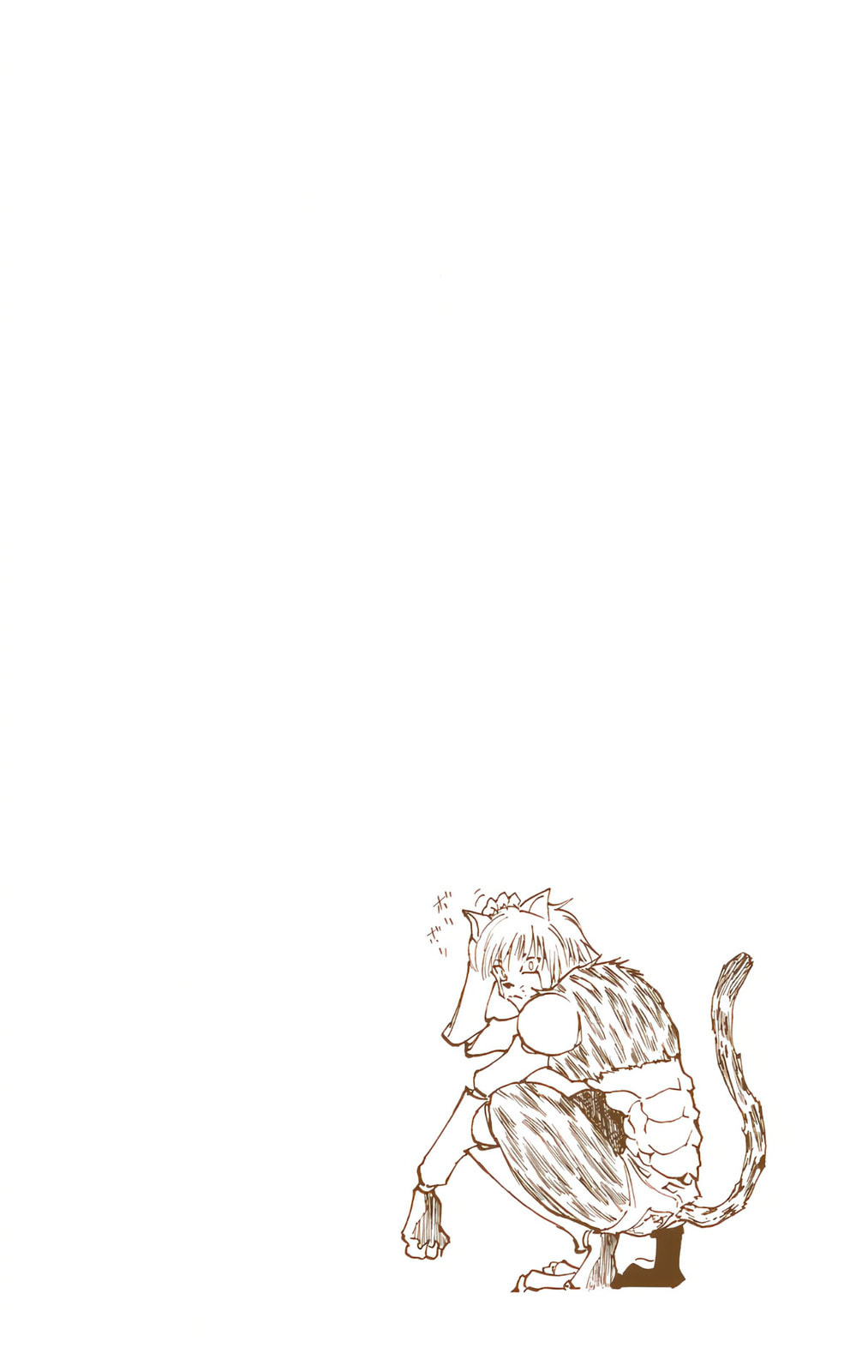 Hunter x Hunter Colored Manga