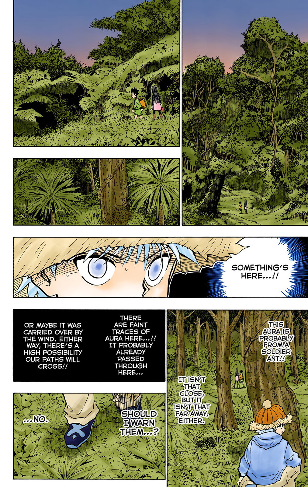 Hunter x Hunter Colored Manga