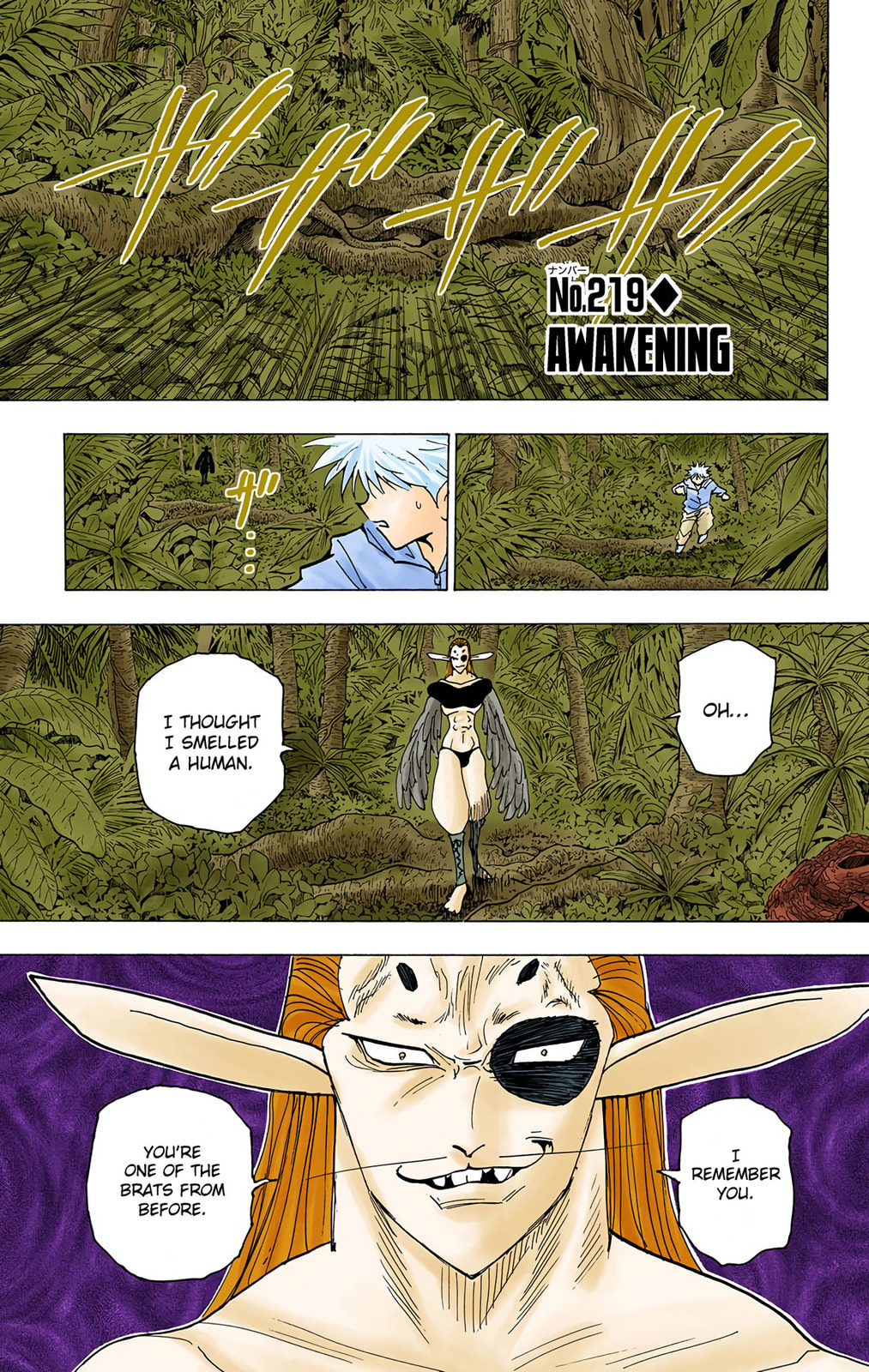 Hunter x Hunter Colored Manga