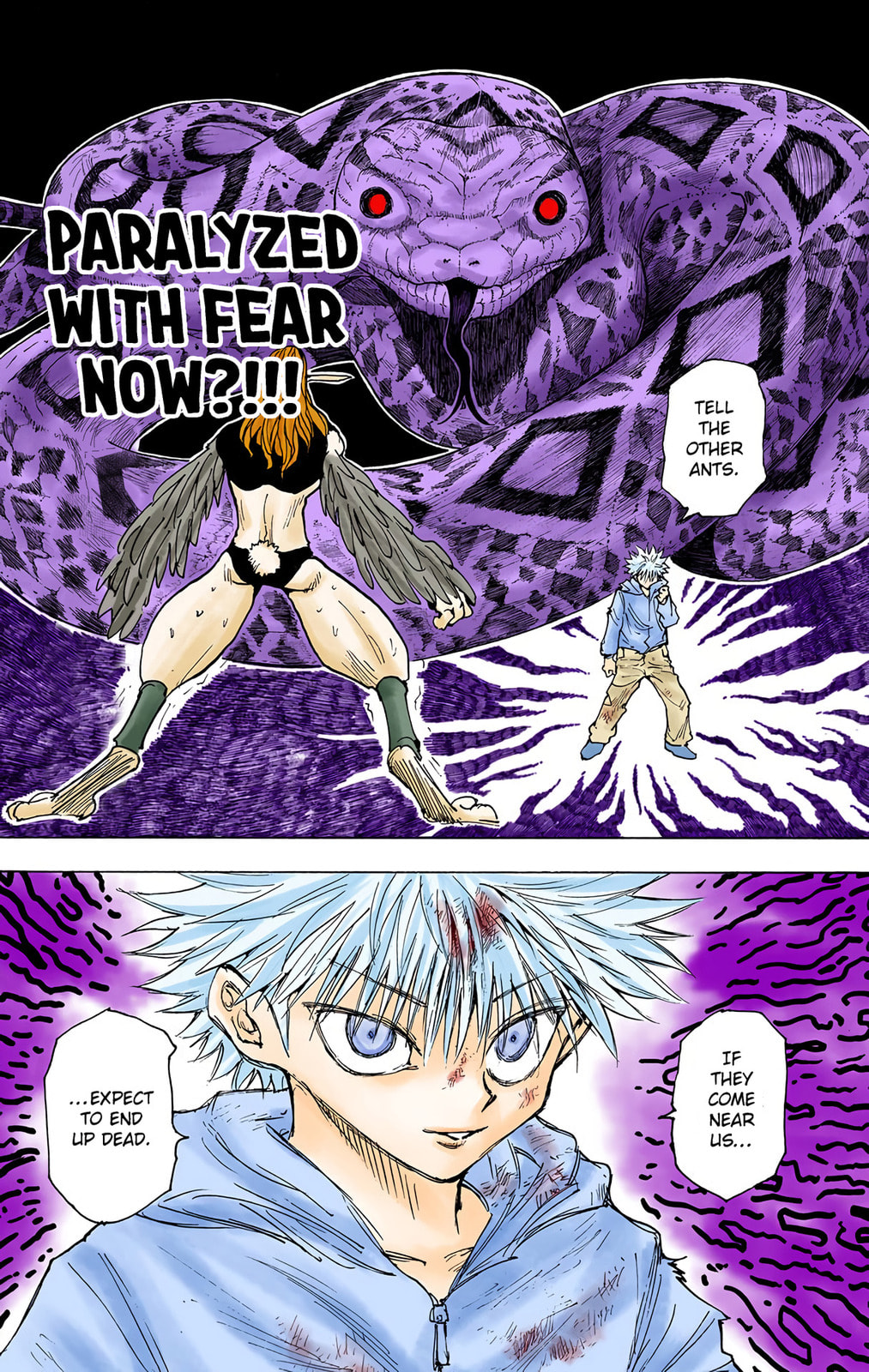Hunter x Hunter Colored Manga