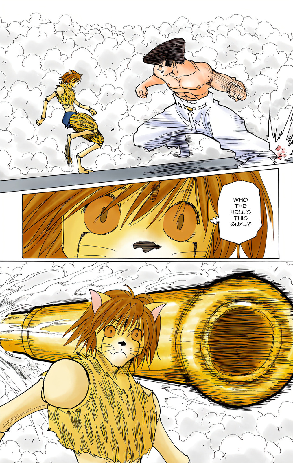 Hunter x Hunter Colored Manga