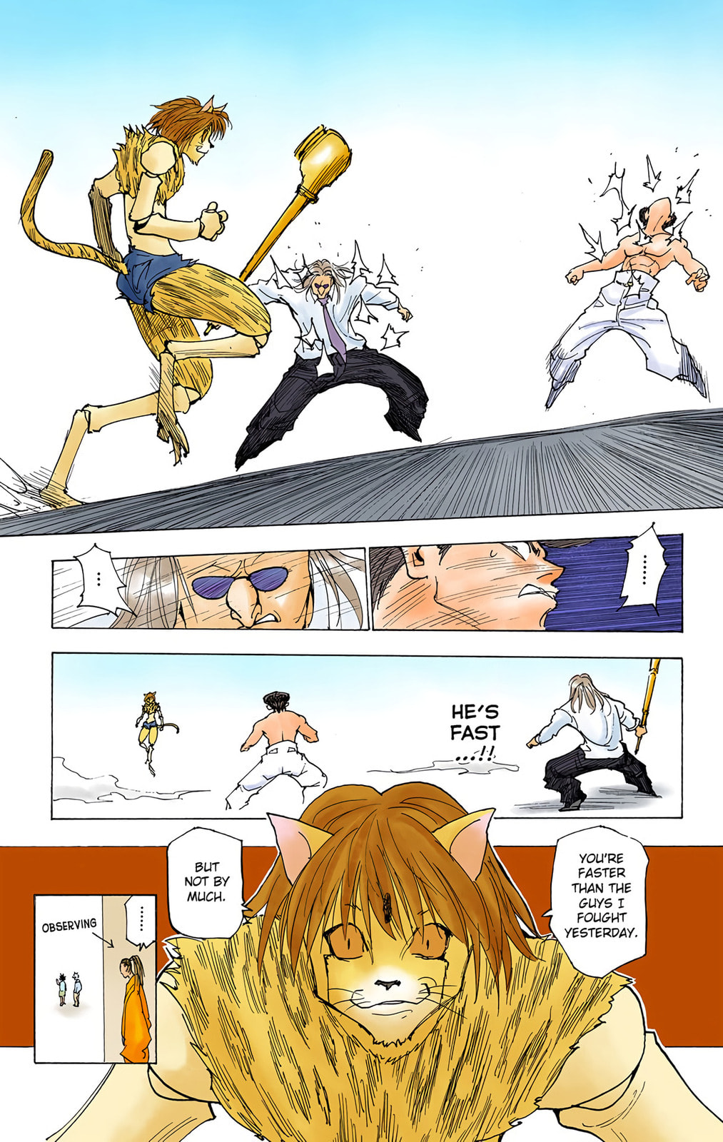 Hunter x Hunter Colored Manga