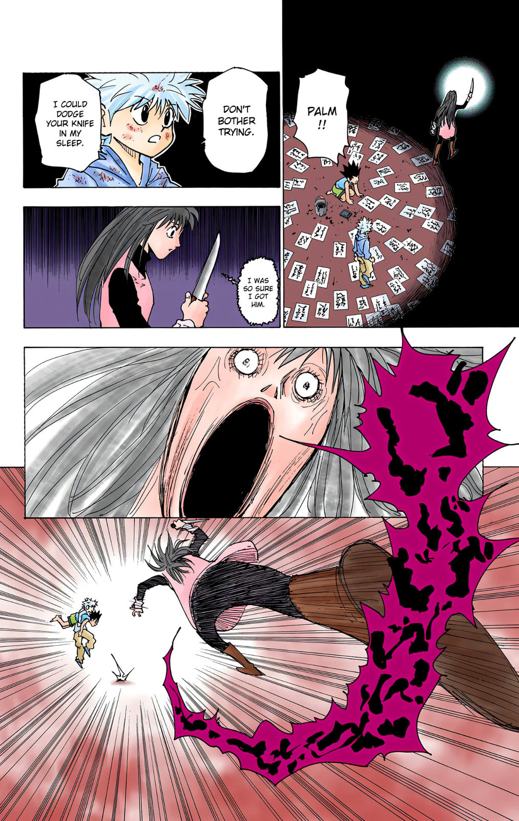 Hunter x Hunter Colored Manga