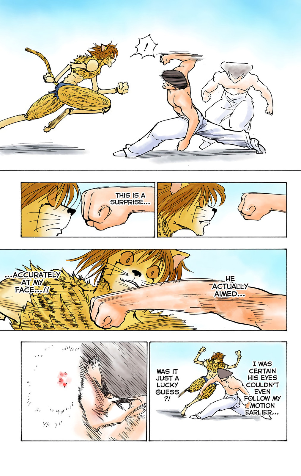 Hunter x Hunter Colored Manga