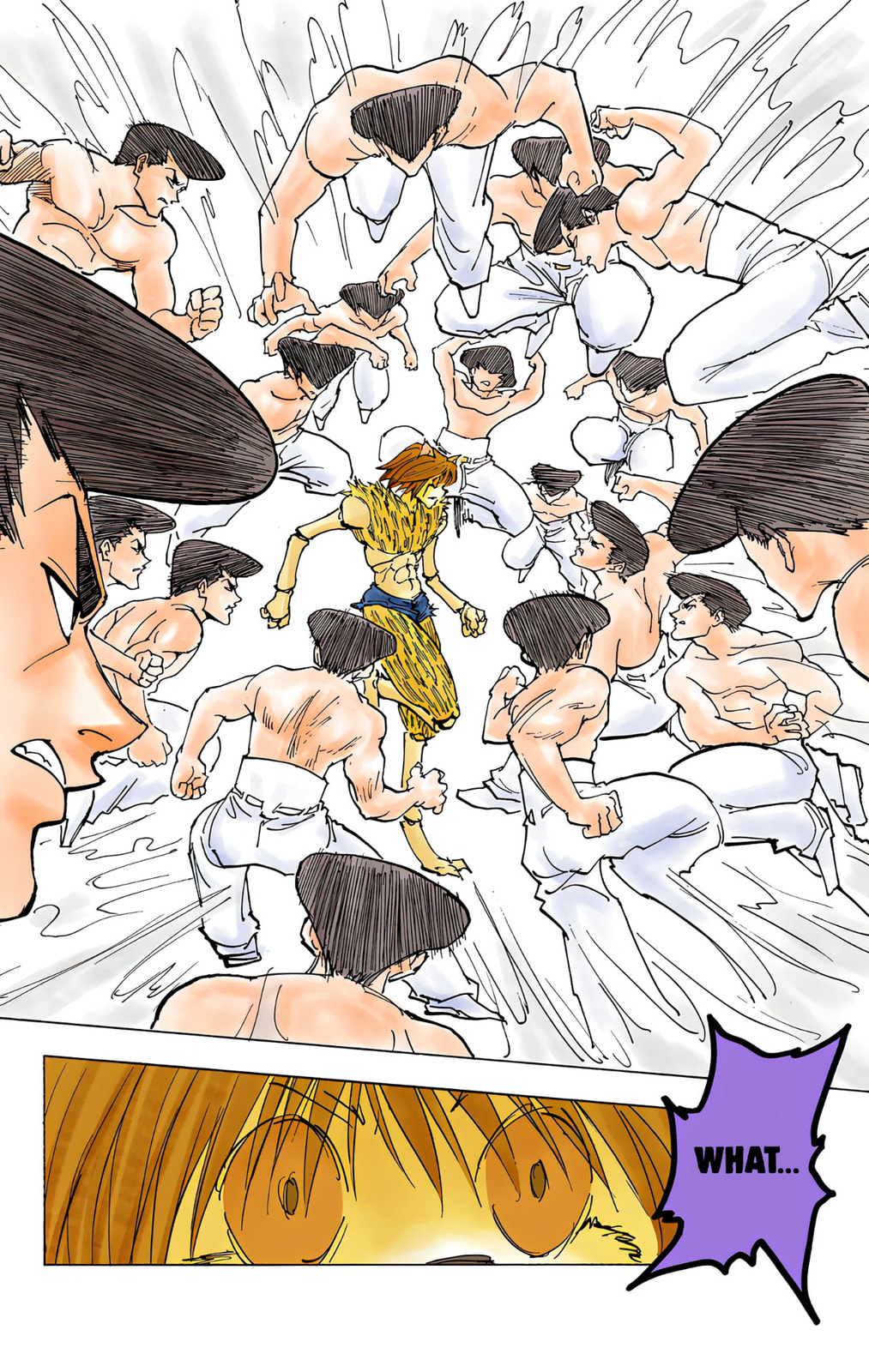 Hunter x Hunter Colored Manga