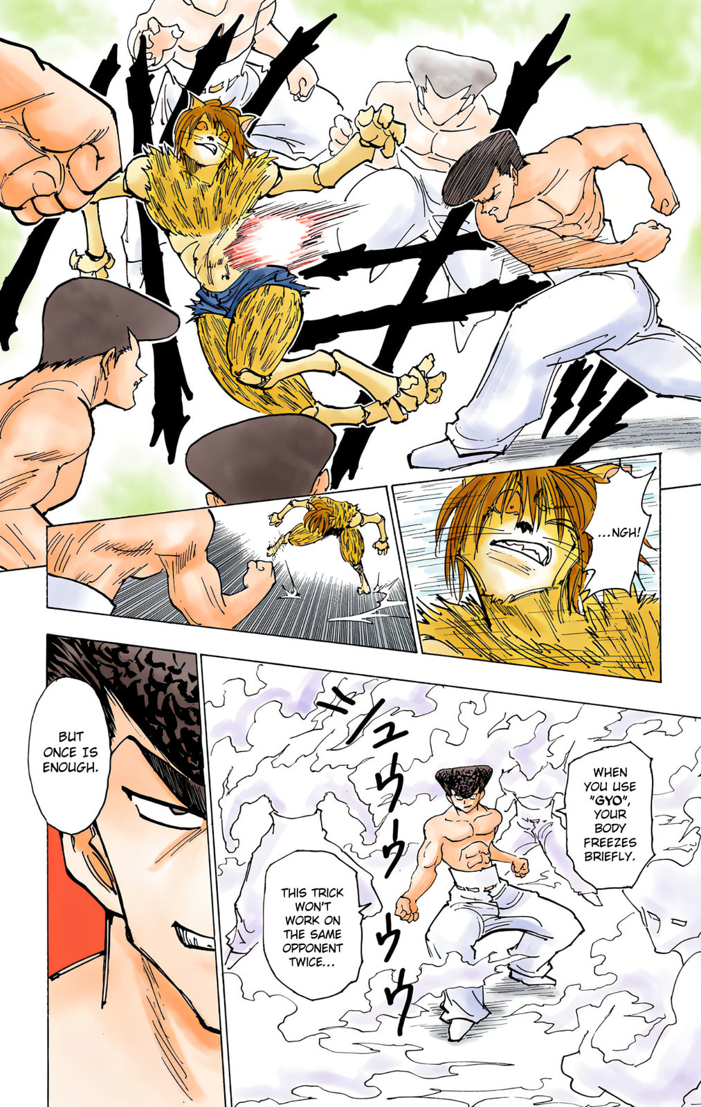 Hunter x Hunter Colored Manga