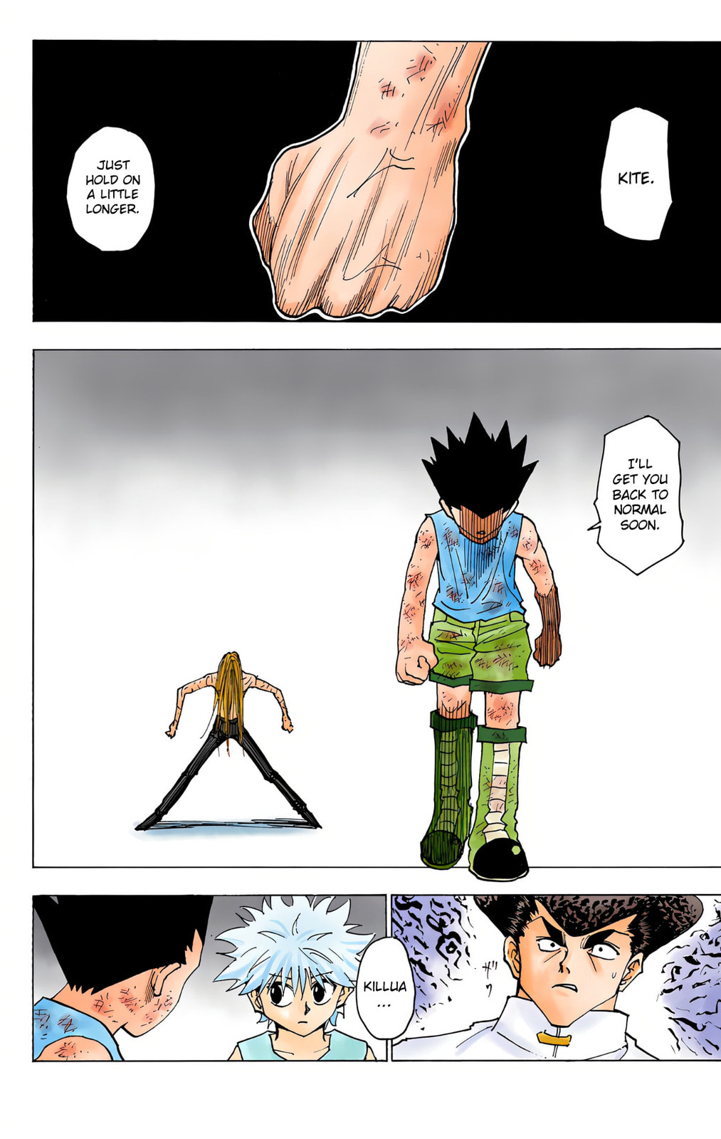 Hunter x Hunter Colored Manga