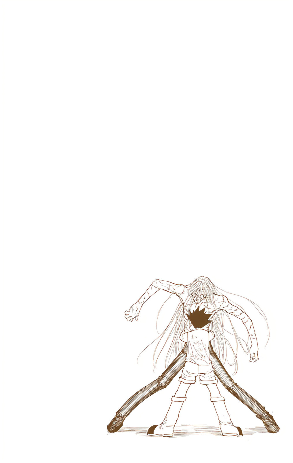 Hunter x Hunter Colored Manga