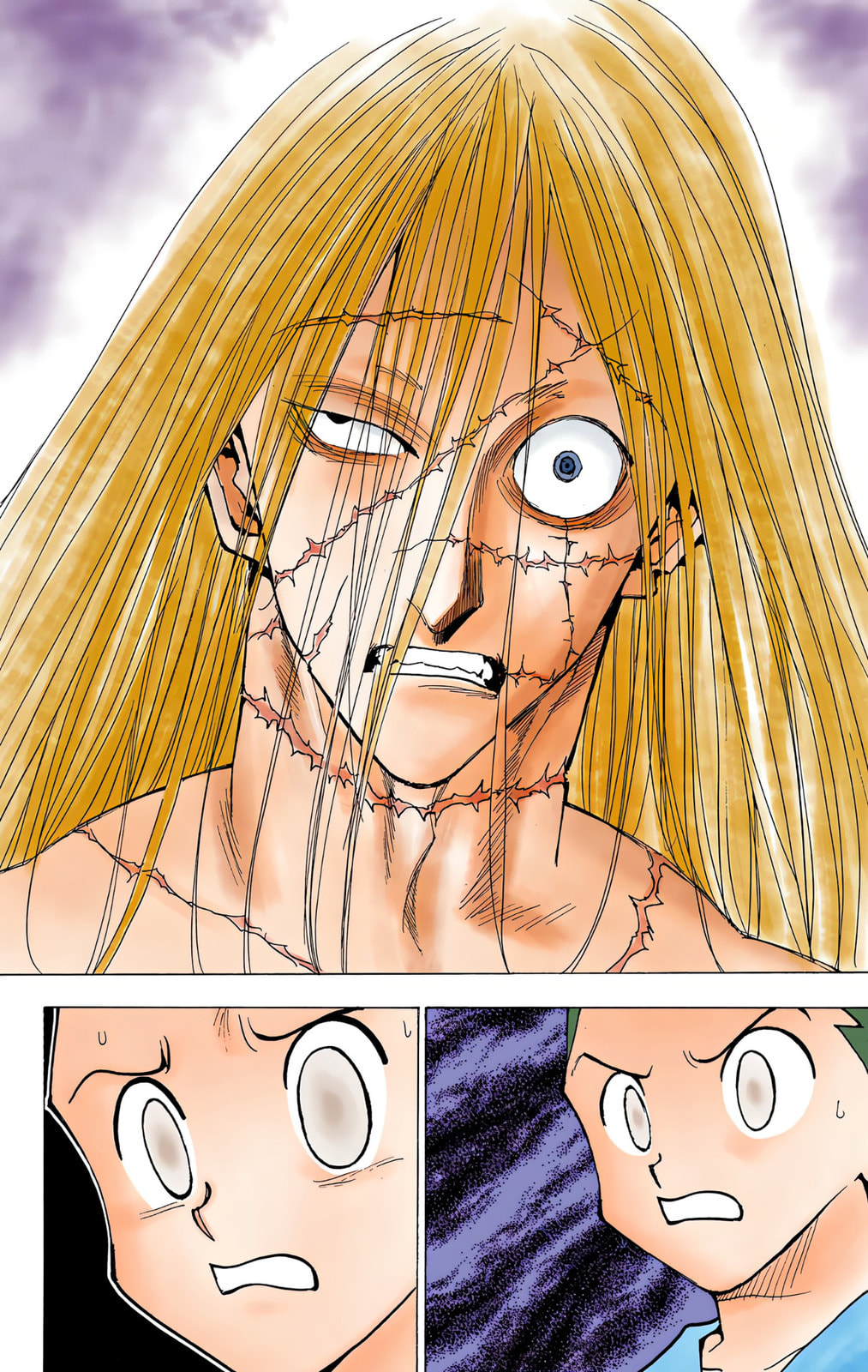 Hunter x Hunter Colored Manga