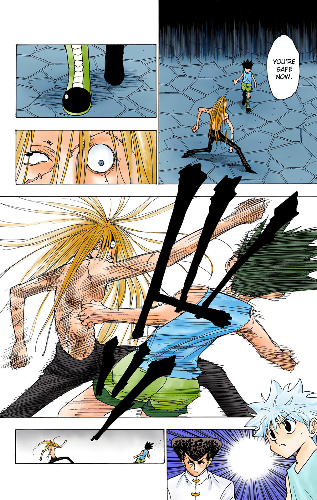 Hunter x Hunter Colored Manga