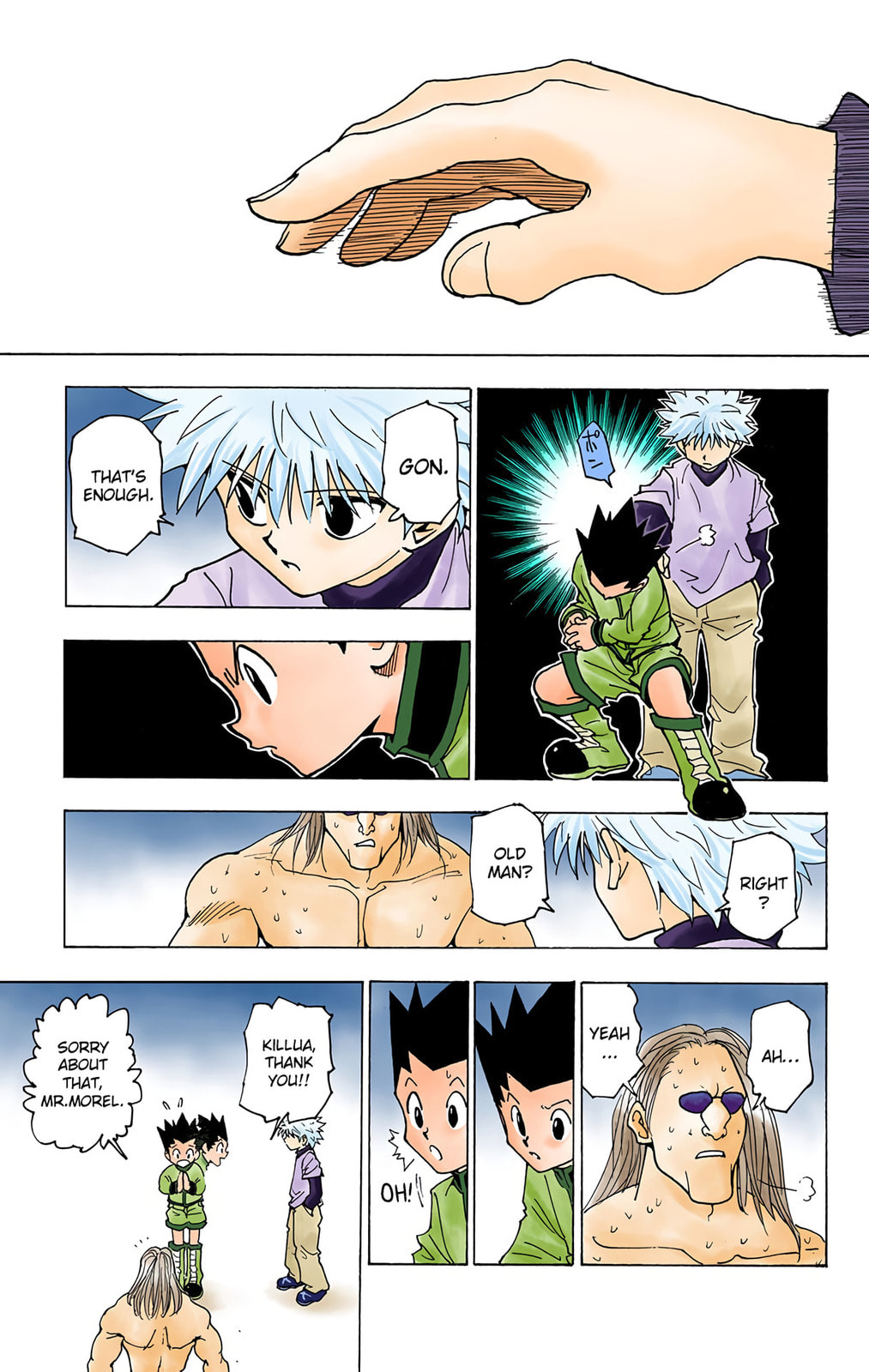 Hunter x Hunter Colored Manga