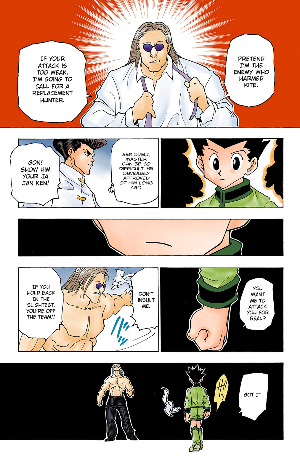 Hunter x Hunter Colored Manga