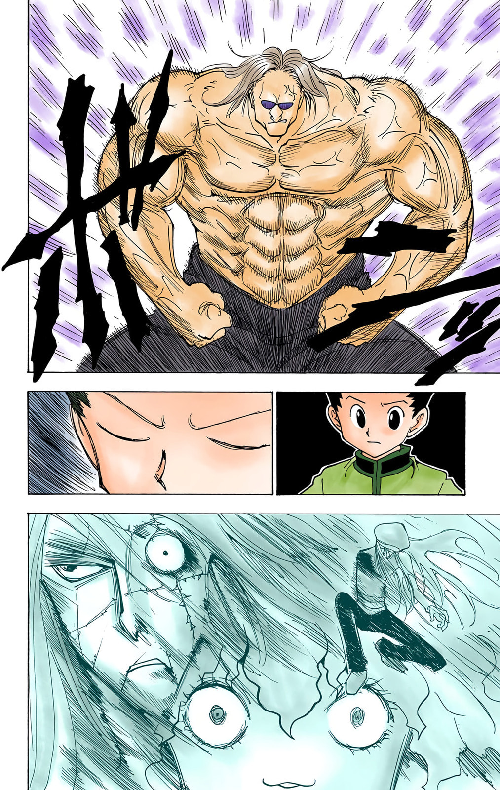 Hunter x Hunter Colored Manga
