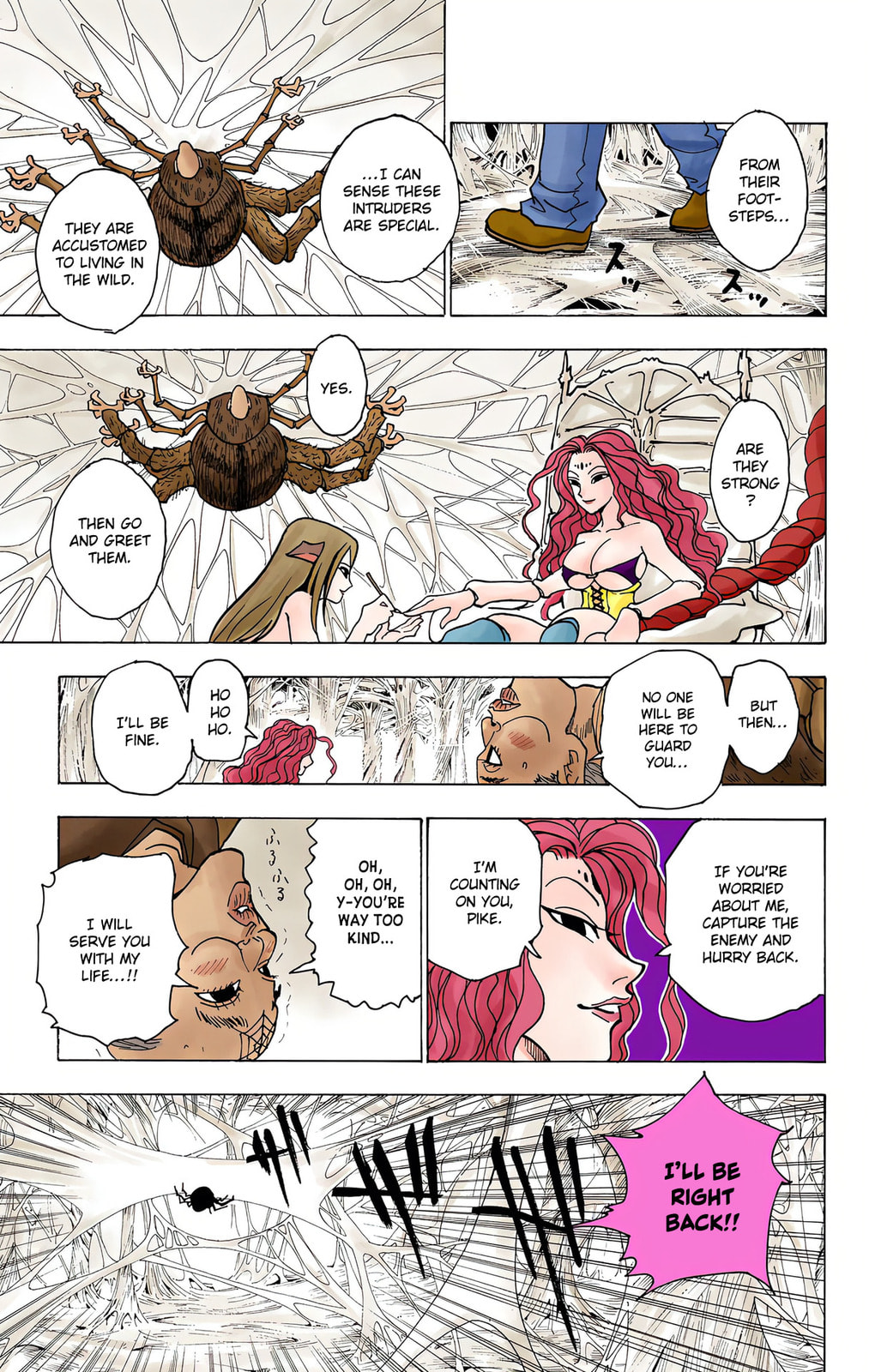 Hunter x Hunter Colored Manga