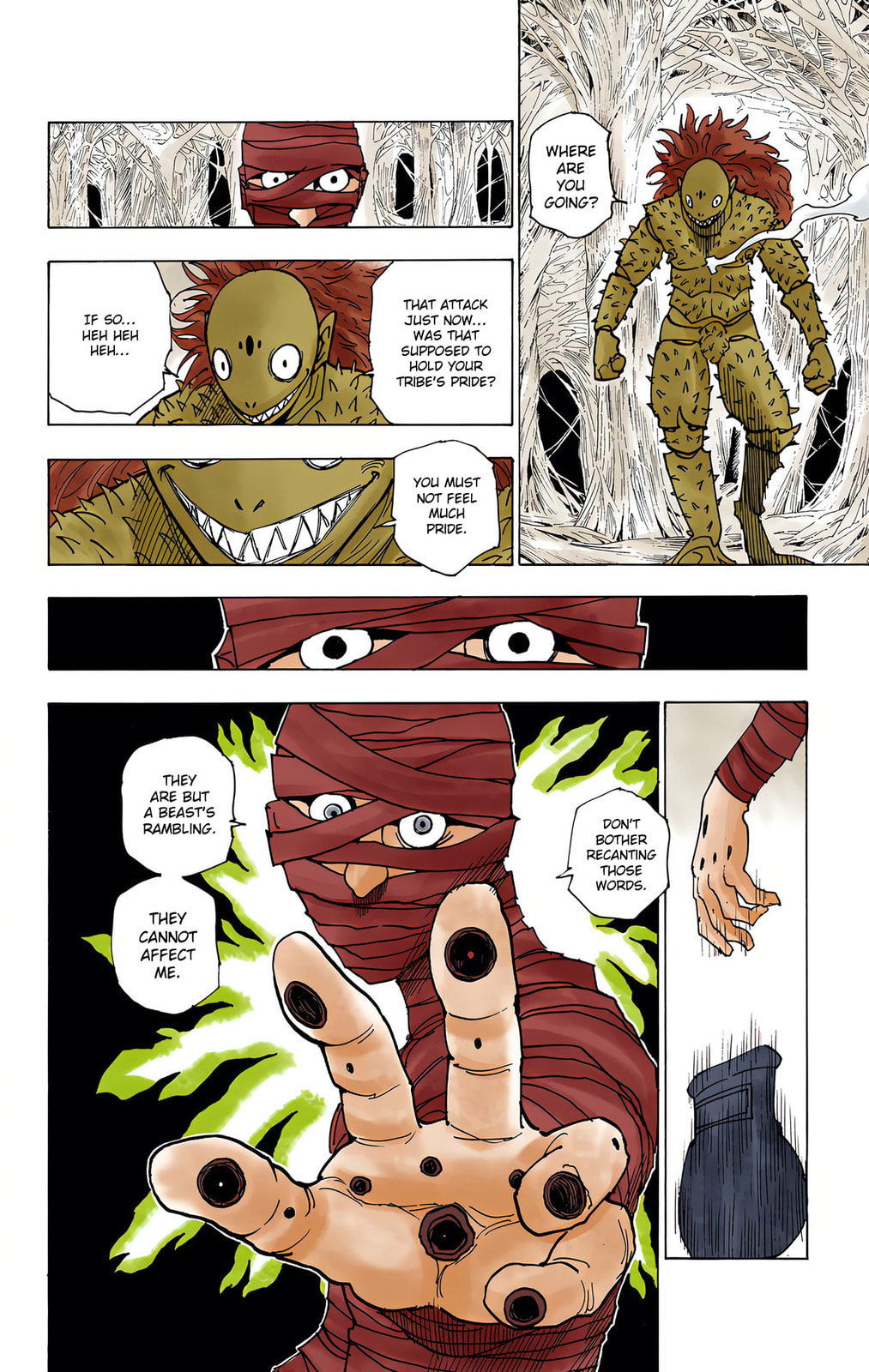 Hunter x Hunter Colored Manga